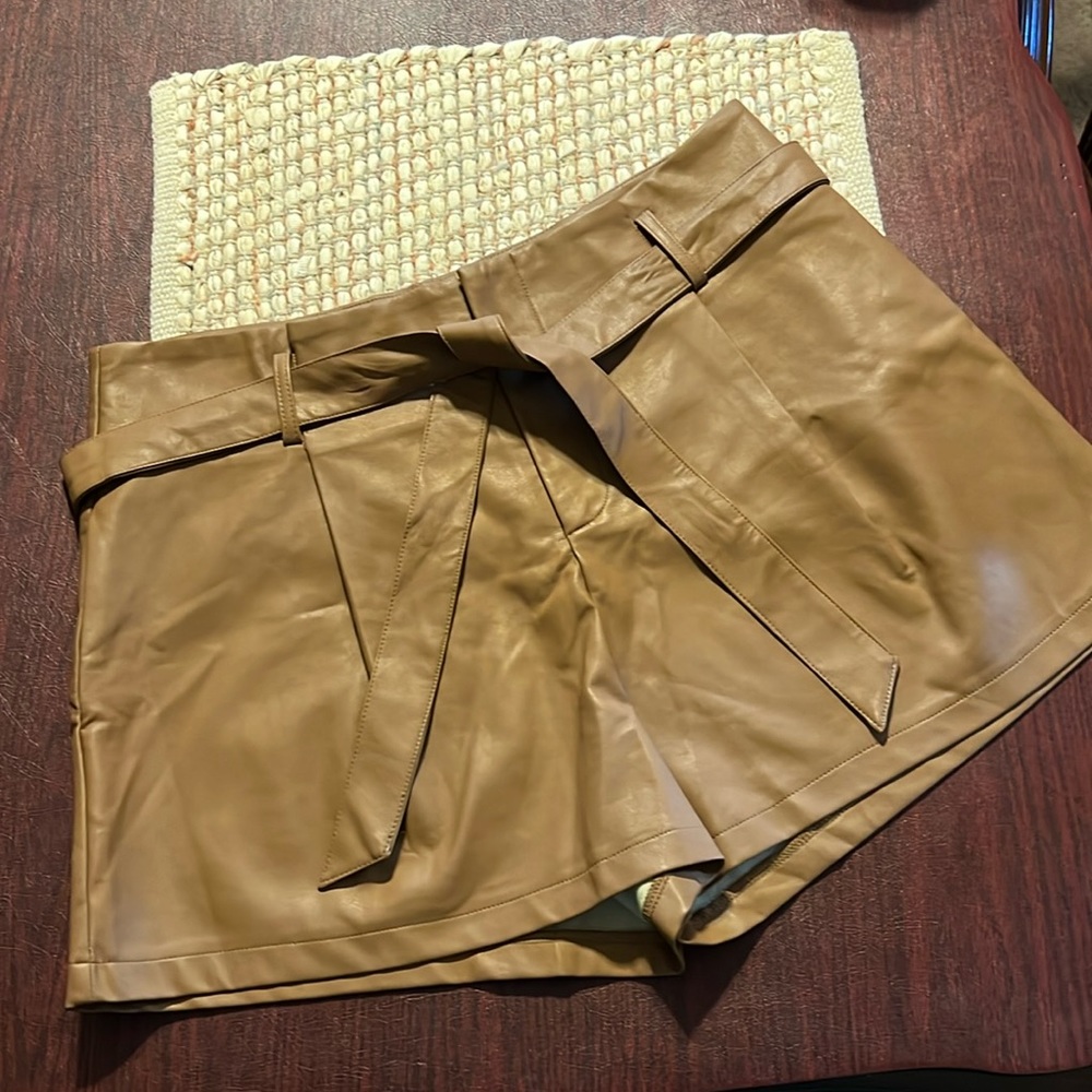 Pleather Shorts in Size 2XL
